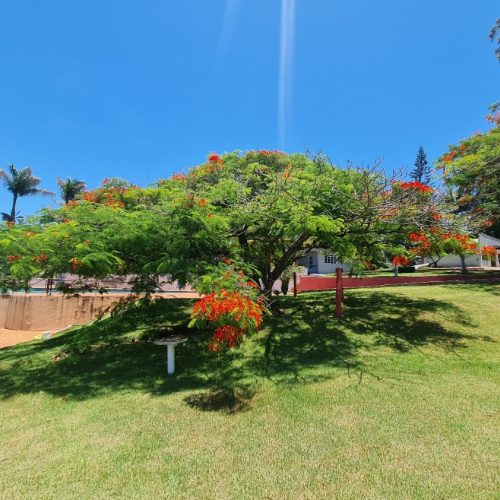 WhatsApp Image 2023-10-16 at 18.48.30 (1)