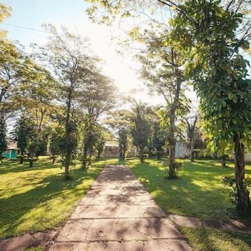 WhatsApp Image 2023-10-16 at 18.49.39 (3)