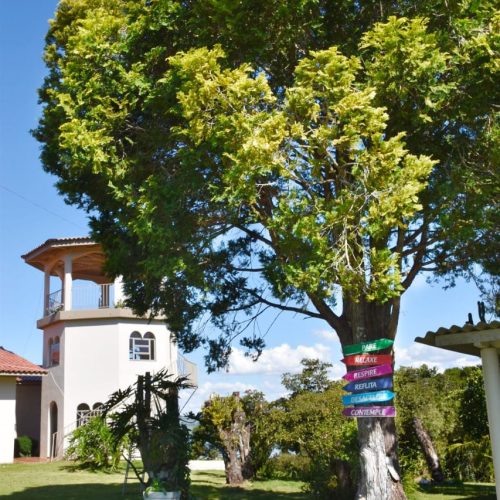 WhatsApp Image 2023-10-16 at 18.50.12 (2)