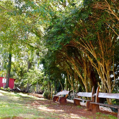 WhatsApp Image 2023-10-16 at 18.50.13