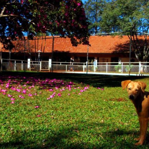 WhatsApp Image 2023-10-16 at 18.50.51