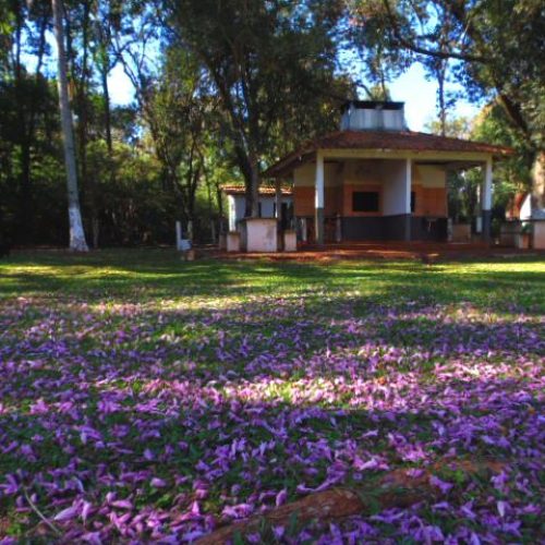 WhatsApp Image 2023-10-16 at 18.50.53