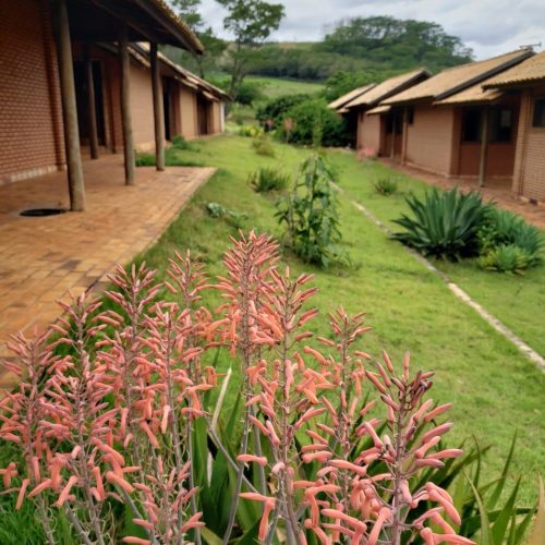 WhatsApp Image 2023-10-16 at 18.51.21 (4)