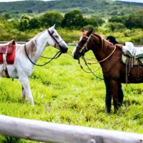 WhatsApp Image 2023-10-16 at 18.52.41