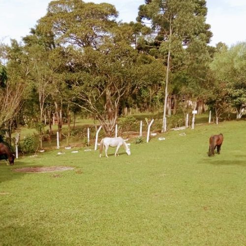 WhatsApp Image 2023-10-16 at 18.52.43 (3)