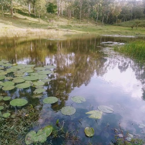 WhatsApp Image 2023-10-16 at 18.52.44 (1)